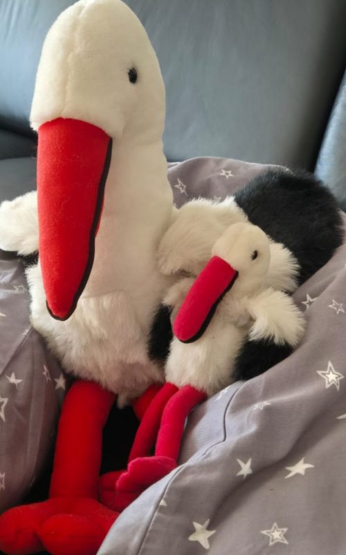 WhatsApp Image 2026-03-27 at 13.24.46(2)