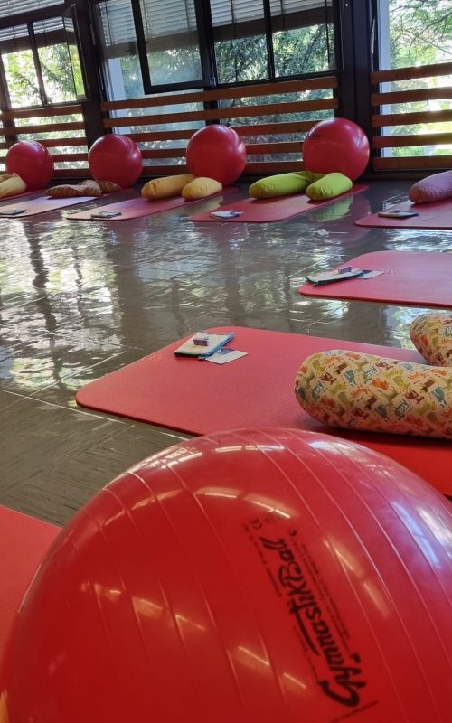 WhatsApp Image 2026-03-27 at 13.24.47