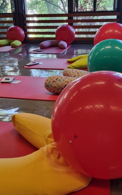 WhatsApp Image 2026-03-27 at 13.24.47(1)